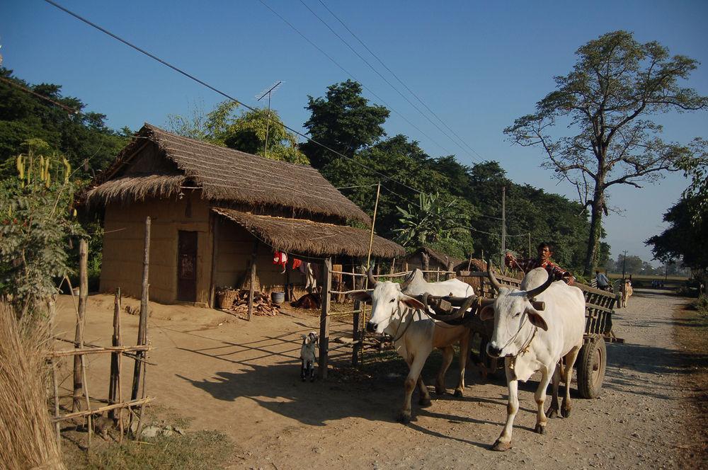 Machan Country Villa Kumarwarti المظهر الخارجي الصورة